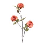 Rose spray x3 80cm - Barack