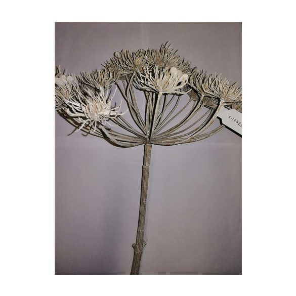 Heracleum szál 43cm bézs
