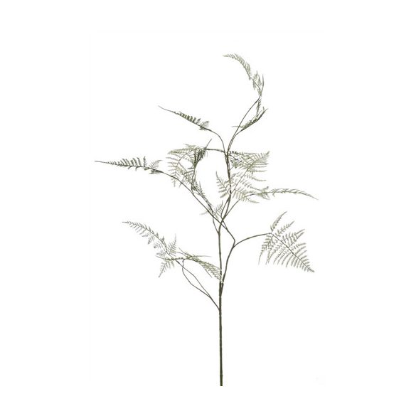 Asparagus branch 125cm - Szürke/zölden