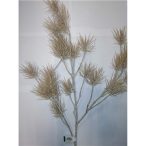 Pinus pine branch 120cm - Bézs