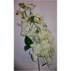 Hydrangea 85cm - Krém