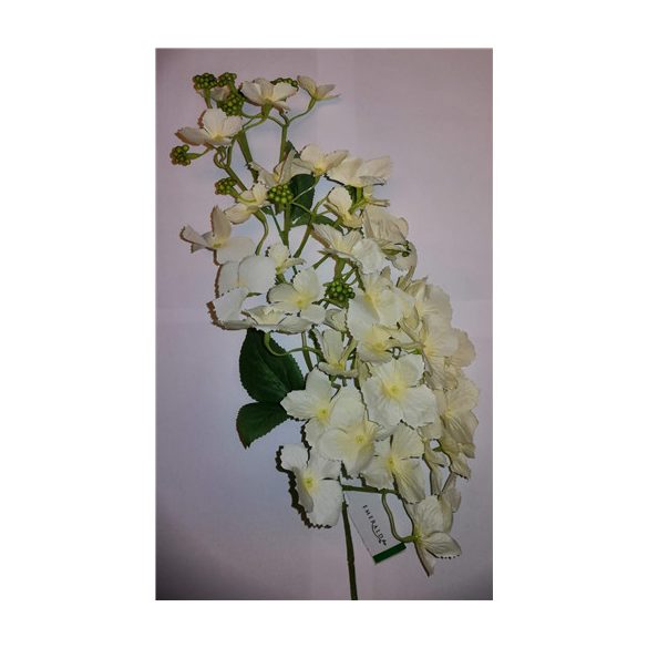 Hydrangea 85cm - Krém