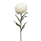 Mum szál 75cm fehér