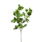 Menta pick 58cm - Zöld