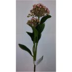 Hortenzia mályva 53 cm