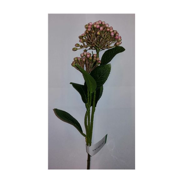 Hortenzia mályva 53 cm