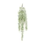 Asparagus hanging bush w snow 90 cm
