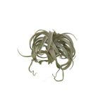 Tillandsia xl 25cm zöld/szürke
