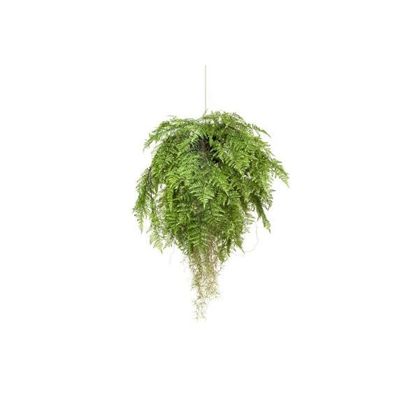 Fern gyökérrel lógó deko 80cm