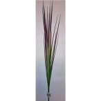 Grass spray zebra 95cm - Lila/zöld