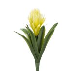 Lándzsa rózsa 32cm - Sárga