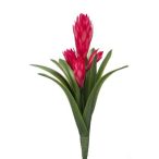 Pikkelyvirág pink 32 cm