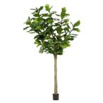 Ficus lyrata tree 300cm (műanyag cserépben)