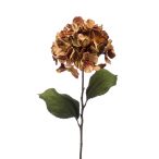 Hydrangea spray velvet 75cm - Barna