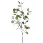 Eucalyptus ág x4 ág 87cm - Szürke/zöld