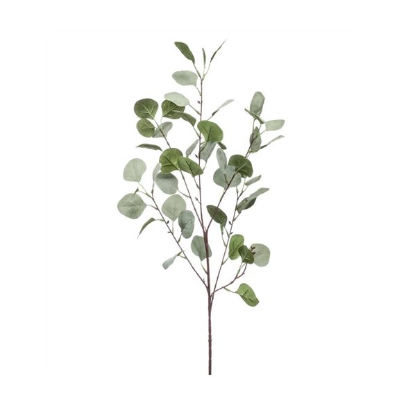 Eucalyptus ág x4 ág 87cm - Szürke/zöld