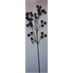 Bogáncs 70cm - Lila