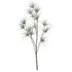Tillandsia Spider fern, 5 szál, 64cm - Szürke