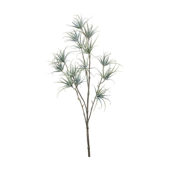 Tillandsia Spider fern, 5 szál, 64cm - Szürke