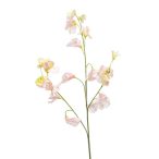 Lathyrus spray x3 63cm it pink