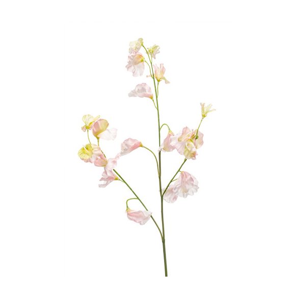 Lathyrus spray x3 63cm it pink