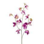 Lathyrus 3 szál 63cm lila