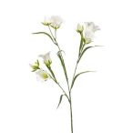 Campanula spray 65cm - Fehér