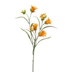 Campanula spray 65cm - Sárga