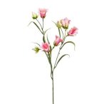 Campanula spray 65cm - Rózsaszín