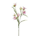 Campunela spray 65 cm - Lila