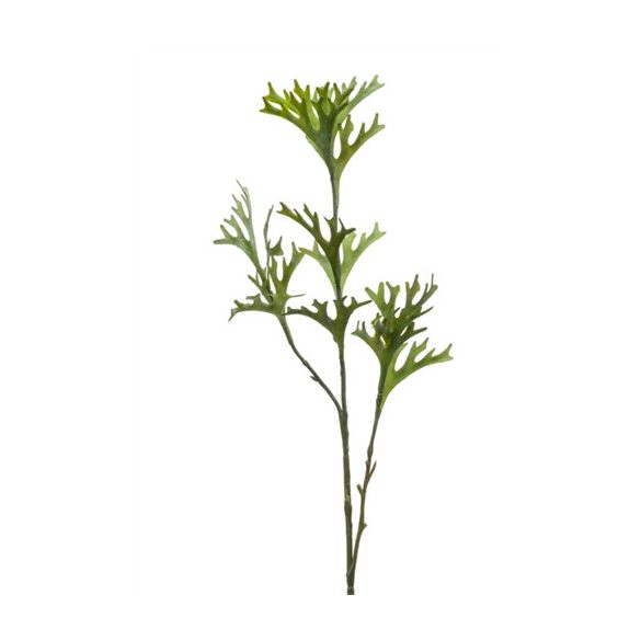 Agancspáfrány szál x3 77cm - Zöld