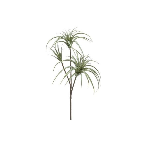 Tillandsia 3 szál 90cm - Szürke