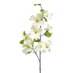 Dogwood mini spray 85cm - Krém