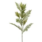 Fern spray 82cm - Zöld