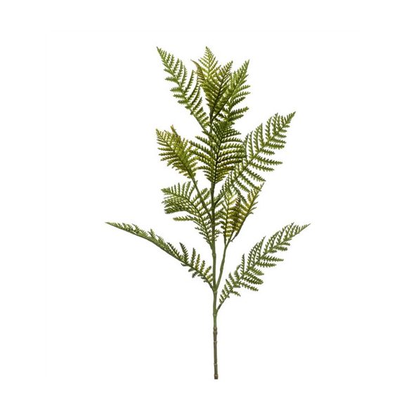 Fern spray 82cm - Zöld