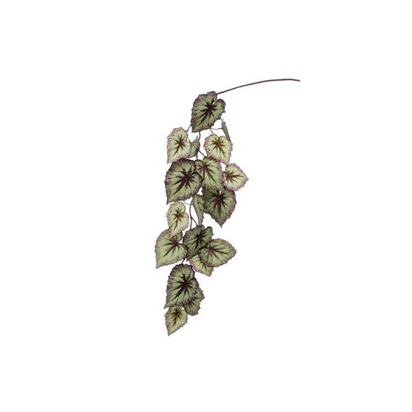 Begonia hanging spray 110 cm - Szürke/lila