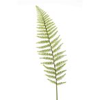 Fern leather szál 100cm – Halványzöld