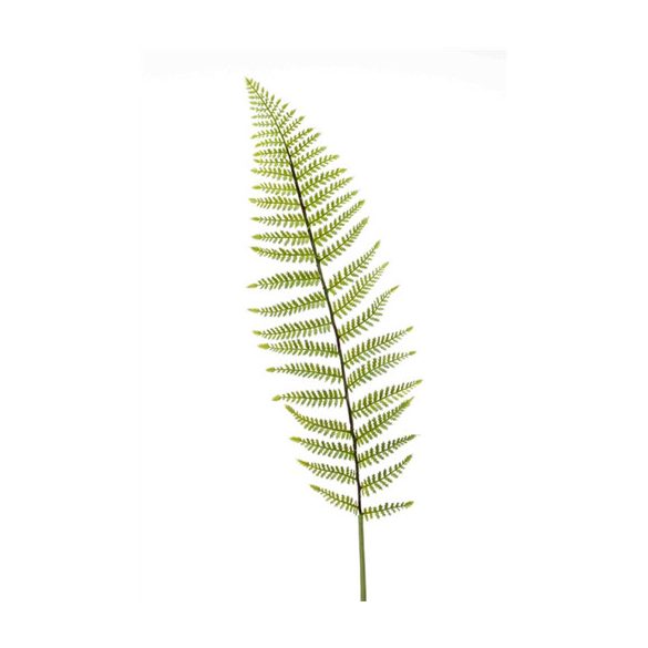 Fern leather szál 100cm – Halványzöld