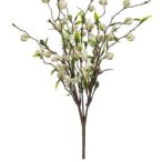 Crab berry bush x5 28 cm - Fehér