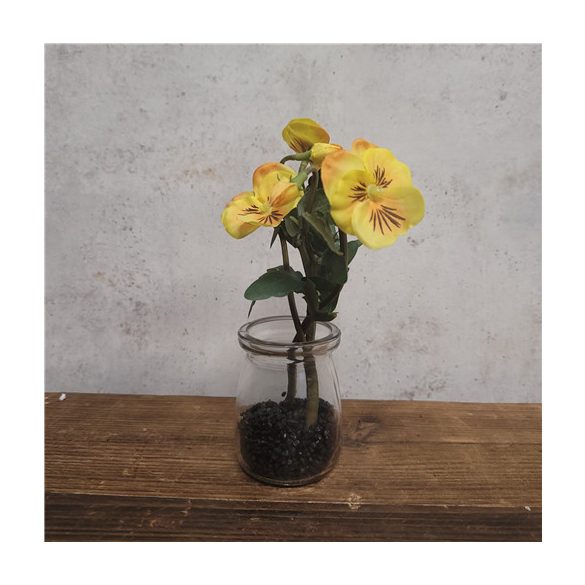 Árvácska 15 cm - Sárga (üveg cserépben)