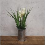 Tulipán 19 cm - Krém (fém cserépbem)