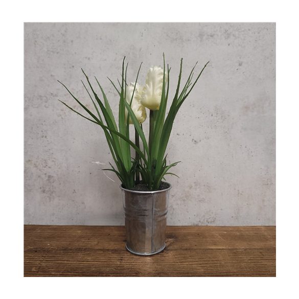 Tulipán 19 cm - Krém (fém cserépbem)