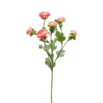 Ranunculus mini szál 65cm rózsaszín