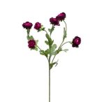 Ranunculus mini szál 65cm lila