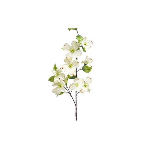 Dogwood spray 100cm - Krém