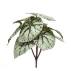 Begonia leaves bush 25cm - Szürke