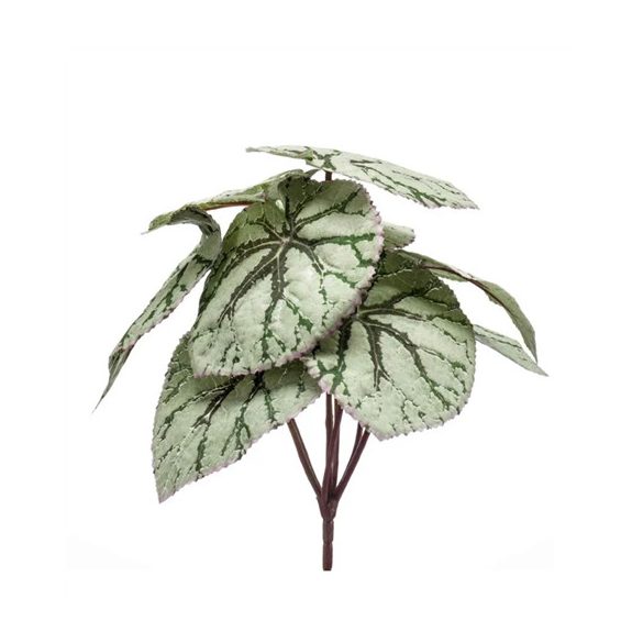 Begonia leaves bush 25cm - Szürke