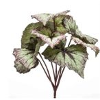 Begonia leaves bush 25cm - Szürke/lila