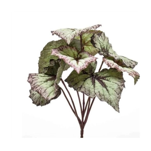 Begonia leaves bush 25cm - Szürke/lila