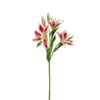 Liliomszál 60cm rózsaszín